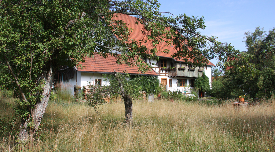 Ein Blick in den Naturgarten der Familie Vogler aus Bad Grönenbach. Bild: Landratsamt Unterallgäu