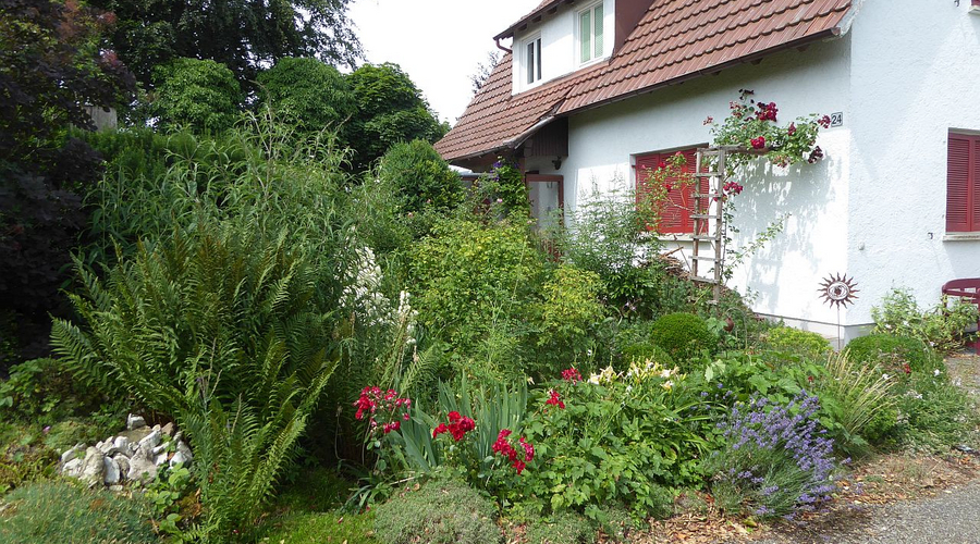 Ein Blick in den Naturgarten der Familie Träber aus Erkheim. Foto: Landratsamt Unterallgäu