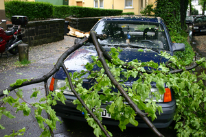 Ein Baum liegt nach einem Unwetter auf einem Auto.