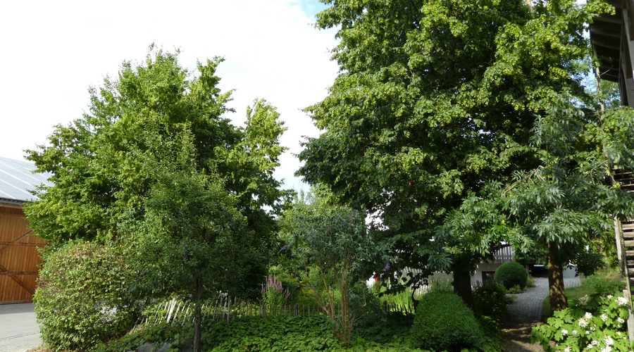 Ein Blick in den Naturgarten der Familie Steber aus Eppishausen. Foto: Landratsamt Unterallgäu