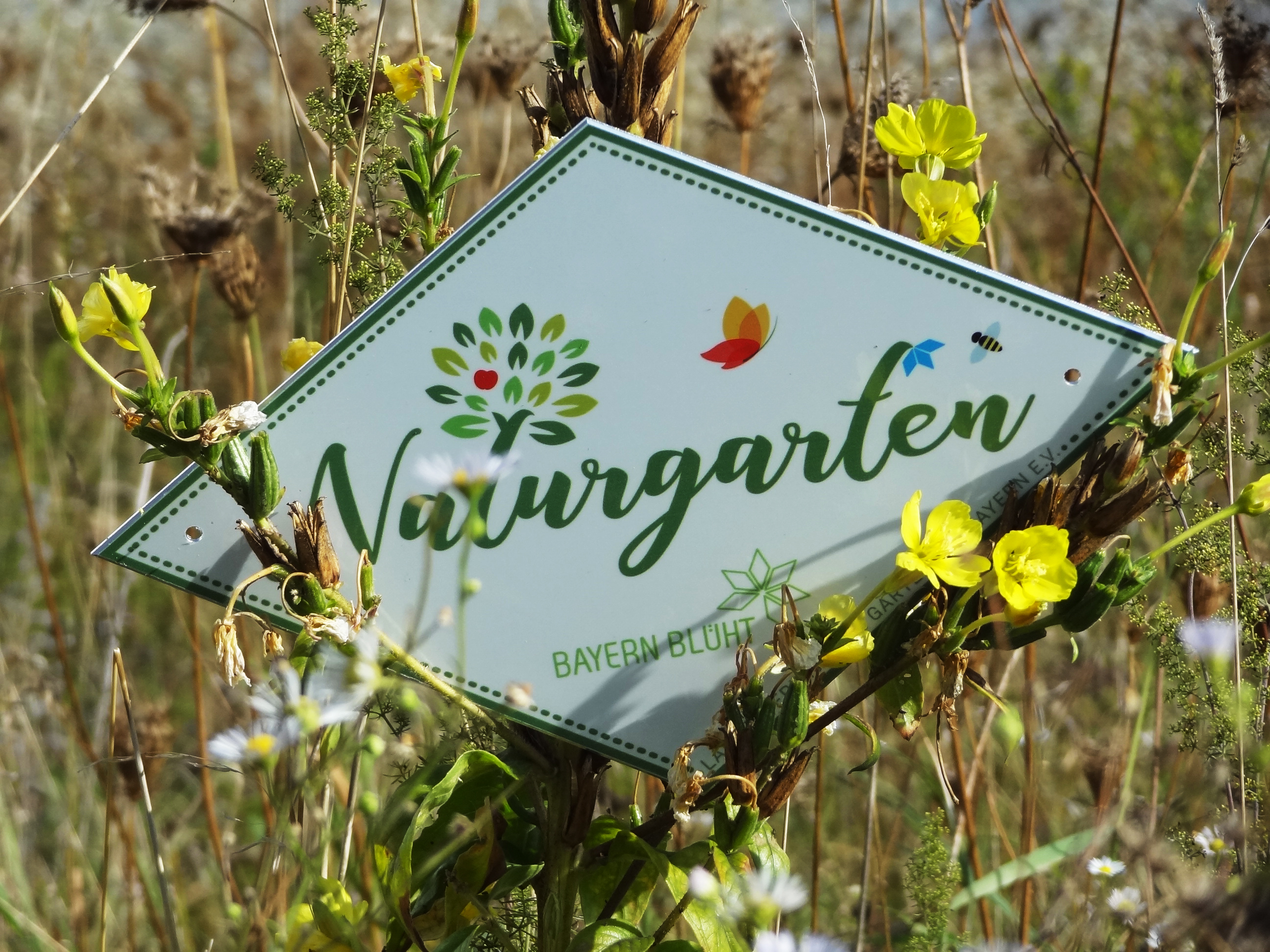 Wer seinen Garten naturnah gestaltet und damit die heimische Artenvielfalt fördert, kann diesen als Naturgarten zertifizieren lassen.
Foto: Markus Orf/Landratsamt Unterallgäu 
